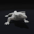 Look1.png Crested Gecko Lizard Pet