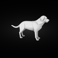 bernes-dog-render1.png Figurine de chien