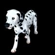 04.jpg DOG - DOWNLOAD Dalmatian 3d model - Animated for blender-fbx- Unity - Maya - Unreal- C4d - 3ds Max - CANINE PET GUARDIAN WOLF HOUSE HOME GARDEN POLICE  3D printing DOG DOG