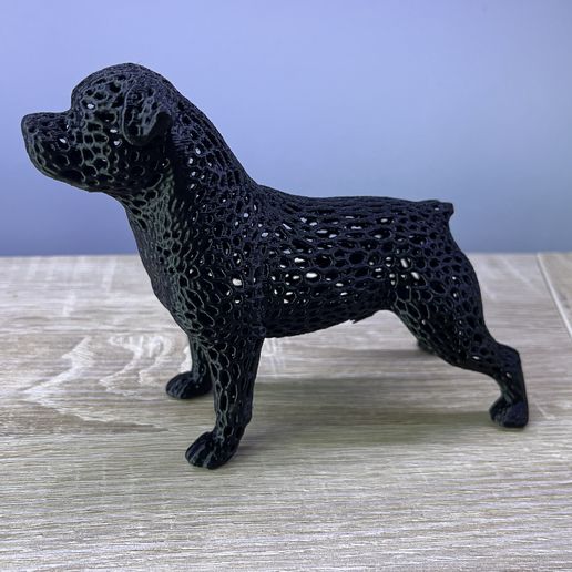 IMG_2060.jpg Rottweiler