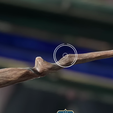 1.png Hogwart's Legacy Starter Notched Wand