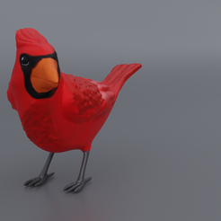 Front.png Upright cardinal