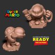 A model by Sinh Nguyen READY FOR 3D PRINT Boom Boom - Super Mario Fanart