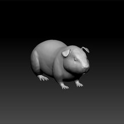 gu1.jpg Guinea pig - Rodents 3d print