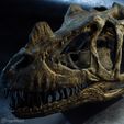 ceratosaurus-skull.jpg Ceratosaurus nasicornis dinosaur skull