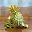 IMG_20220215_074157.jpg Ruyi pineapple