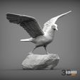 seagull-on-the-stone-1.jpg Seagull on the stone 3D print model