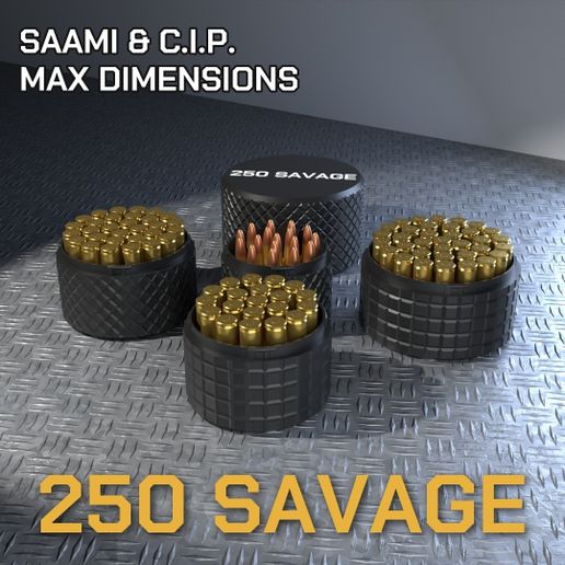CBOX AMMO BOX 250 Savage AMMUNITION STORAGE 80/90/100/110/120MM ROUND CASE ORGANIZER 250Savage