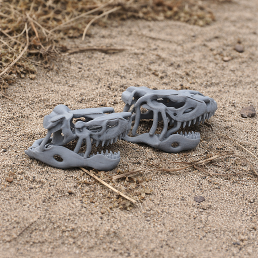 Saurosuchus Skull