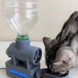 IMG-9492.jpg Fichier 3D gratuit Mangeoire pour chats・Design pour imprimante 3D à télécharger