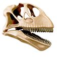 03.jpg Mamenchisaurus 3D skull