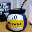 mate2.png mikasa volleyball mate