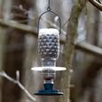 J_210309_120722_Nik.jpg Bird feeder on PET bottle 38 mm