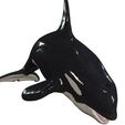2.jpg ORCA Killer Whale Dolphin FISH sea CREATURE 3D ANIMATED RIGGED MODEL
