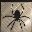 Sey. ~ IIIS a ol, RS % Airbrush Stencil Spider
