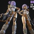 bulma_3dscan_02.jpg Bulma V2 3D