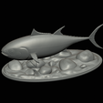 Bluefin-tuna-19.png Atlantic bluefin tuna / Thunnus thynnus / Tuňák obecný  fish underwater statue detailed texture for 3d printing