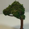 DSC01866.JPG Model Tree #7 - Wargaming Tree for Your Tabletop