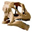 05.jpg Mamenchisaurus 3D skull