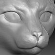 15.jpg Siamese Cat head for 3D printing