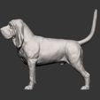 BLOODHOUND6.jpg 3D-Datei BLOODHOUND 3D-Druckmodell・Design für 3D-Drucker zum herunterladen