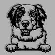 berger-australien.2.png Wall decoration Australian Shepherd 2