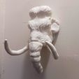 20220828_182100.jpg woolly mammoth head wall mount STL