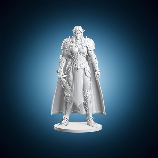 Elven Knight Woman Sword Cape Armor