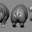 001.jpg Hippo