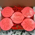 il_1588xN.4222739975_9y03.webp CHRISTMAS - SET X 5 Fondant Cookie Embosser Stamps Icing stamps