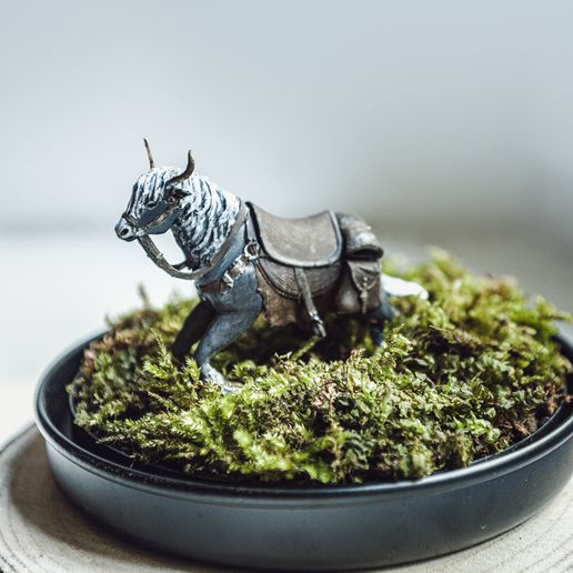 IMG_4922-Edit.jpg Torrent - Elden Ring