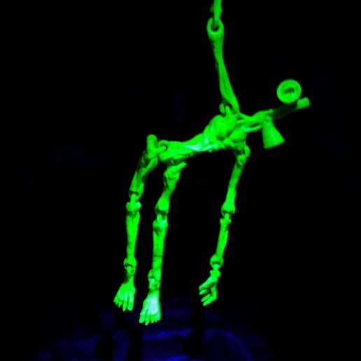 IMG_20210424_110948-01.jpg Siren head