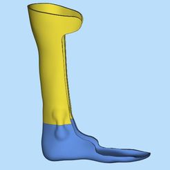 1.jpg STL file leg orthosis brace lower・Design to download and 3D print