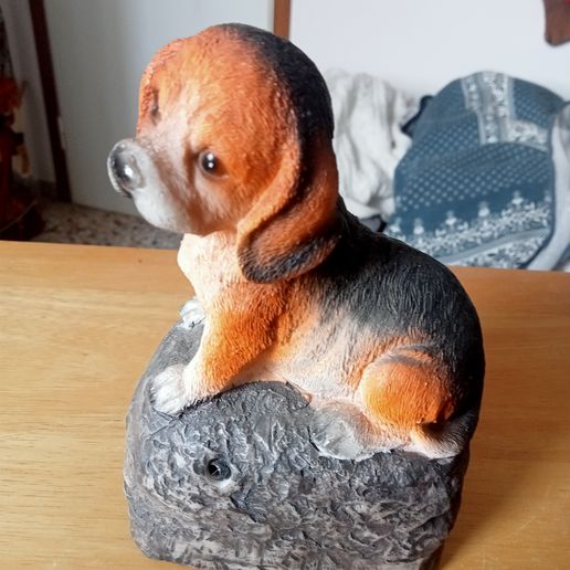 little dog piccolo cane scan 3D model