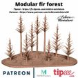 1000X1000-fir-forest.jpg Pine Forest - 28mm for wargame