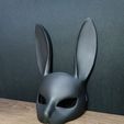 IMG_20231026_033238.jpg Bunny mask V1