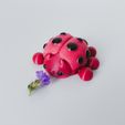20230223_184318741_iOS.jpg Ladybug Flexi