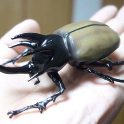 DSC04767R.jpg Free STL file Fivehorned beetle (Eupatorus Gracilicornis)・3D printer design to download