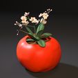 1.jpg tomato planter