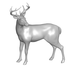 e.png deer 3d model
