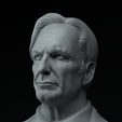 1000143861.png Breaking Bad Complete Premium 3D Bust Pack STL