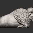 bison8.jpg Bison 3D-Druckmodell