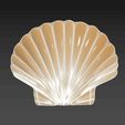 9.jpg Coquillage Coquille Perle