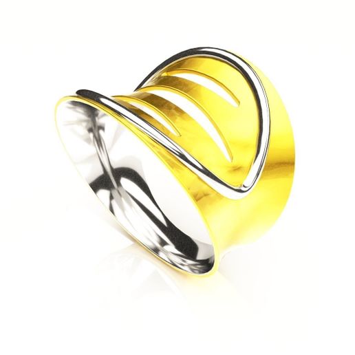 Paraboloidal ring 3D model