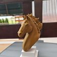 20220330_170646.jpg STL file Horse Head/Bust・3D print design to download