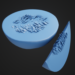 Cantaloupe_1.png Archivo STL Melón cantalupo・Idea de impresión 3D para descargar