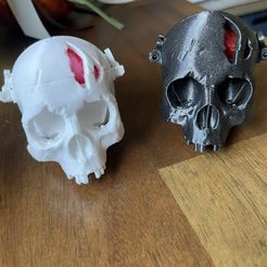 Boneheads: Boîte Crâne avec cerveau - via 3DKitbash.com