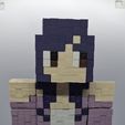 20250815_161651.jpg Minecraft Aphmau play figure