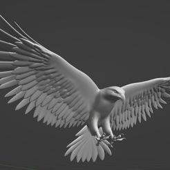 3.jpg Fliegender Adler für Deckenaufhängung