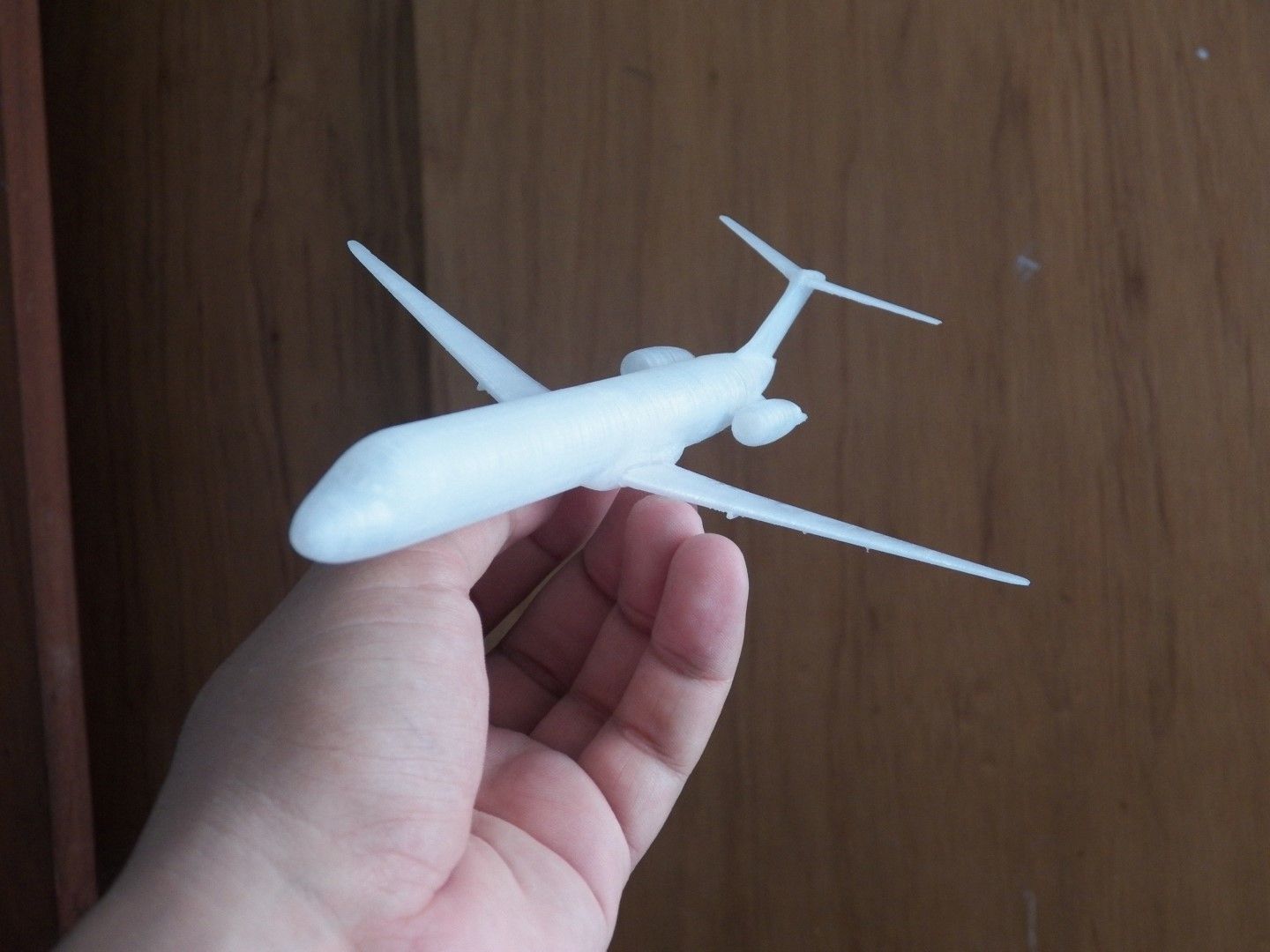 100_0076 (Large).JPG Archivo STL gratis MD80 Aircraft Scale Model・Plan imprimible en 3D para descargar, guaro3d